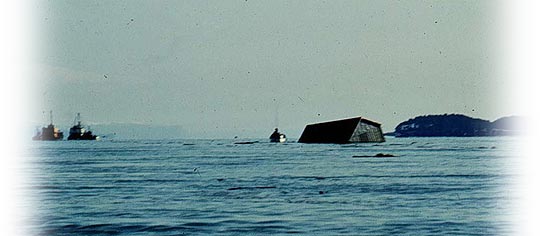 Afognak store swept out to sea