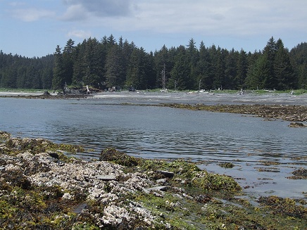 Dig Afognak Beach