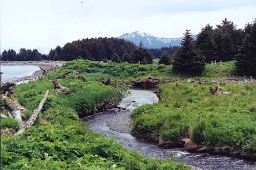 River-at-afognak.jpg