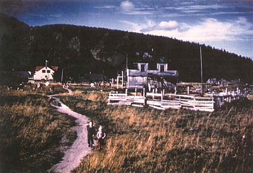 aleut-t-pastoral.jpg