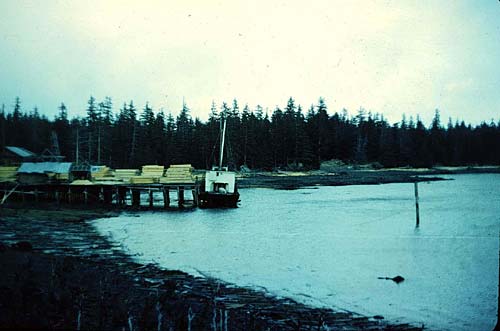 sawmill-II.jpg