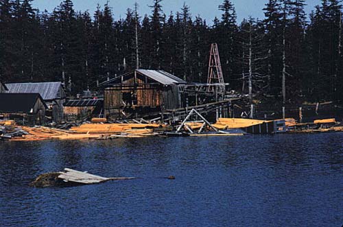 sawmill-after-quake.jpg